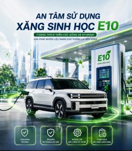 Xăng E10 Chính Thức Áp Dụng Toàn Quốc Từ 01/06/2026: Chủ Xe Hyundai Có Cần Lo Lắng?